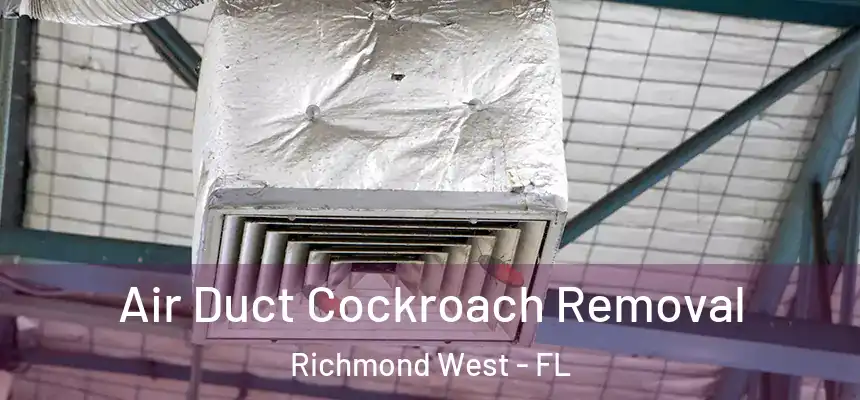  Air Duct Cockroach Removal Richmond West - FL