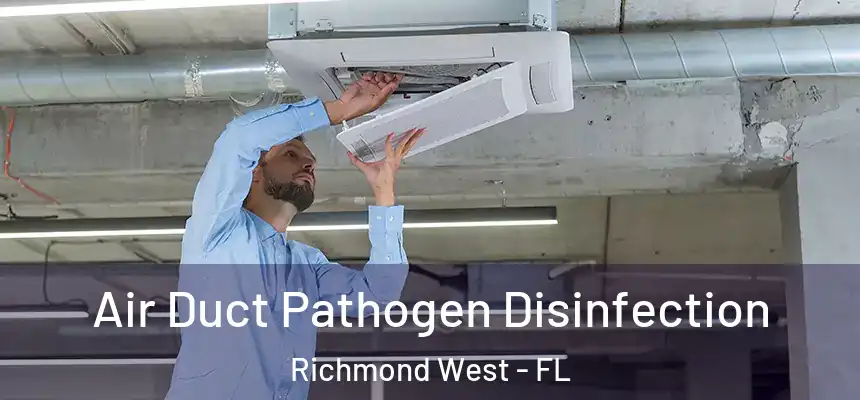  Air Duct Pathogen Disinfection Richmond West - FL