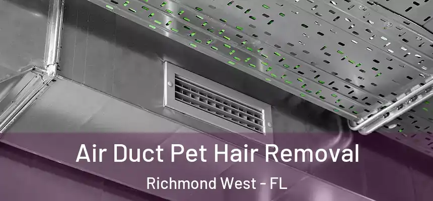  Air Duct Pet Hair Removal Richmond West - FL