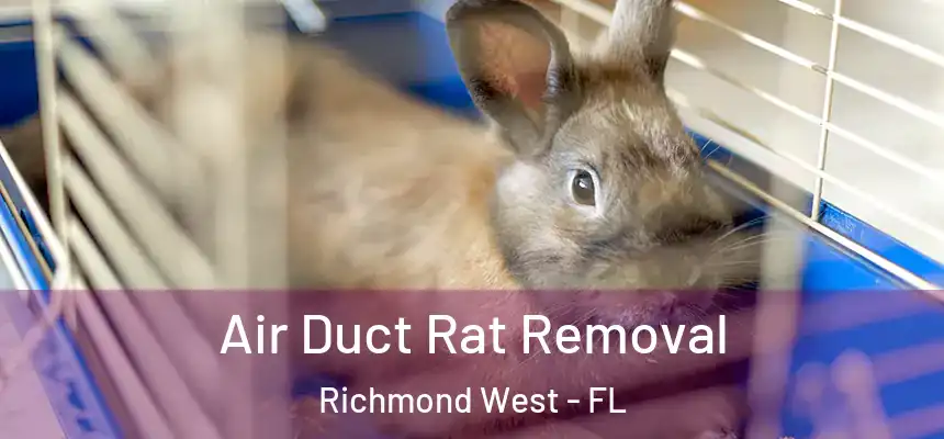  Air Duct Rat Removal Richmond West - FL