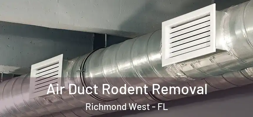  Air Duct Rodent Removal Richmond West - FL