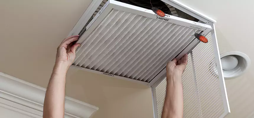 Preventive Cockroach-Proofing for Ducts in Richmond West