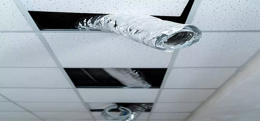 Our Air Duct Pet Hair Removal Services in Richmond West, FL