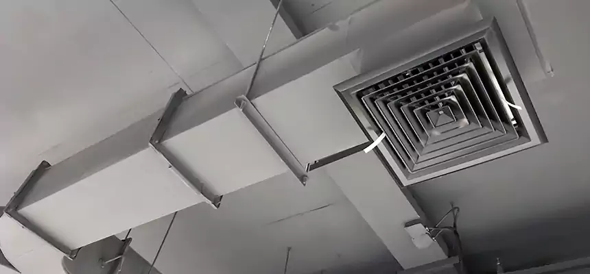 Restorative Allergy Relief Vent Cleaning – Coil, Blower & Housing Detail in Richmond West