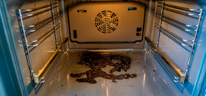 Our Dryer Vent Mold Cleaning Services in Richmond West, FL