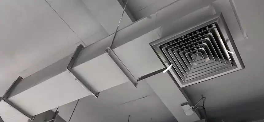 Our Pest Removal From Ducts Services in Richmond West, FL