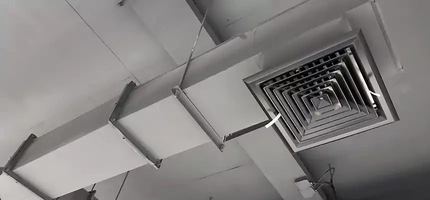 Our Rodent Droppings In Vents Services in Richmond West, FL