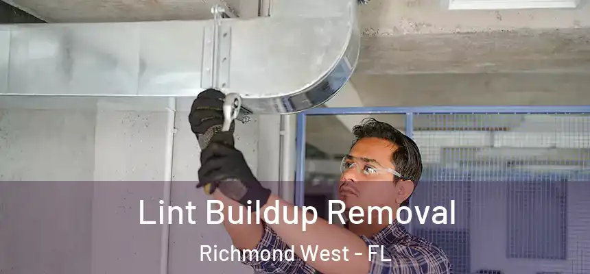  Lint Buildup Removal Richmond West - FL