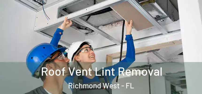  Roof Vent Lint Removal Richmond West - FL