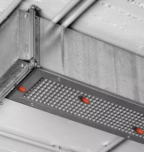 About Air Duct Cockroach Removal in Richmond West, FL