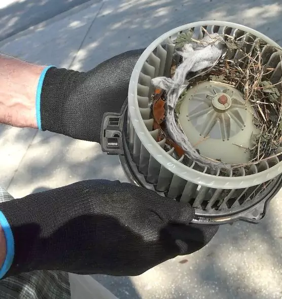 About Air Duct Rat Removal in Richmond West, FL