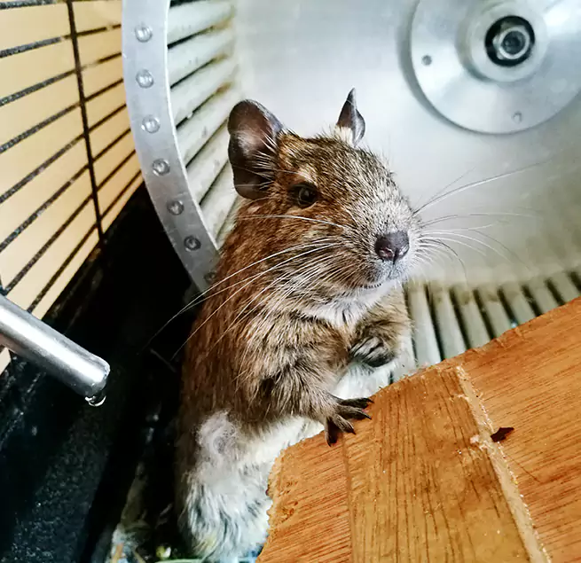 Why Homeowners & Businesses Trust Us Richmond West, FL